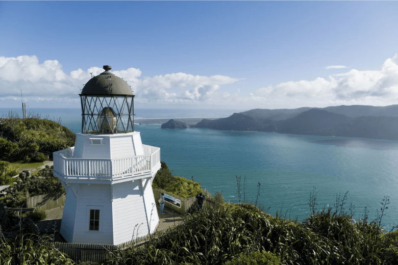 Thing To Do Destination Auckland South